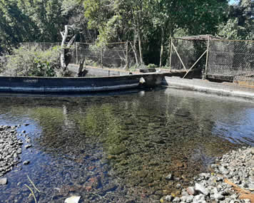 Suministro de agua