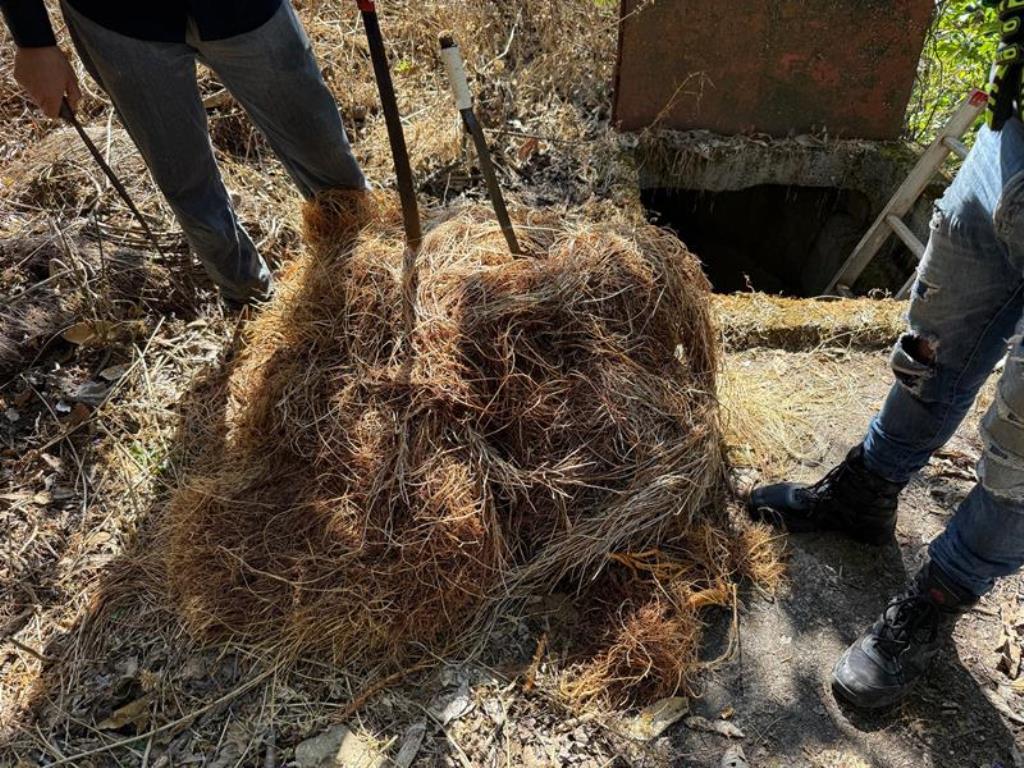 Cambio de Material y Entronques