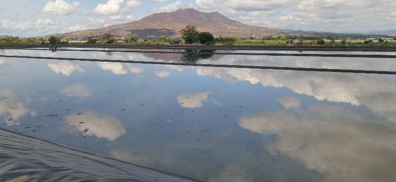 Planta tratamiento de aguas