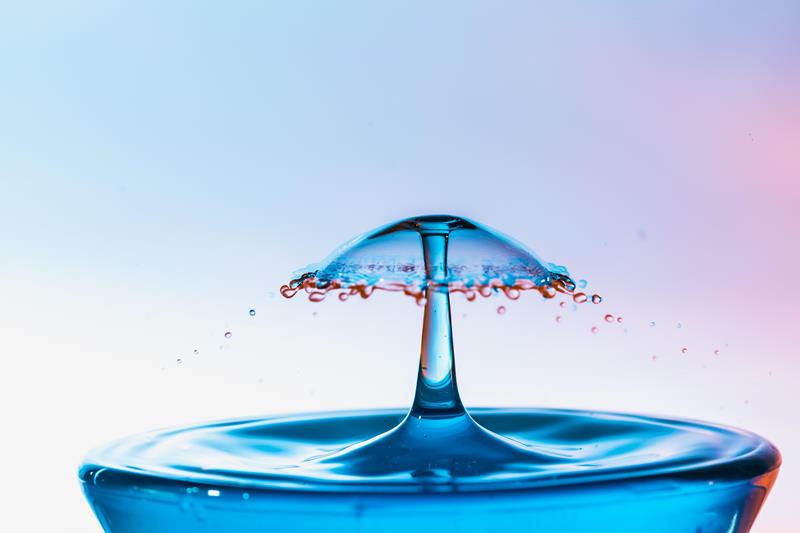 MASTERCLASS SOBRE CULTURA Y PROMOCIÓN DEL AGUA 